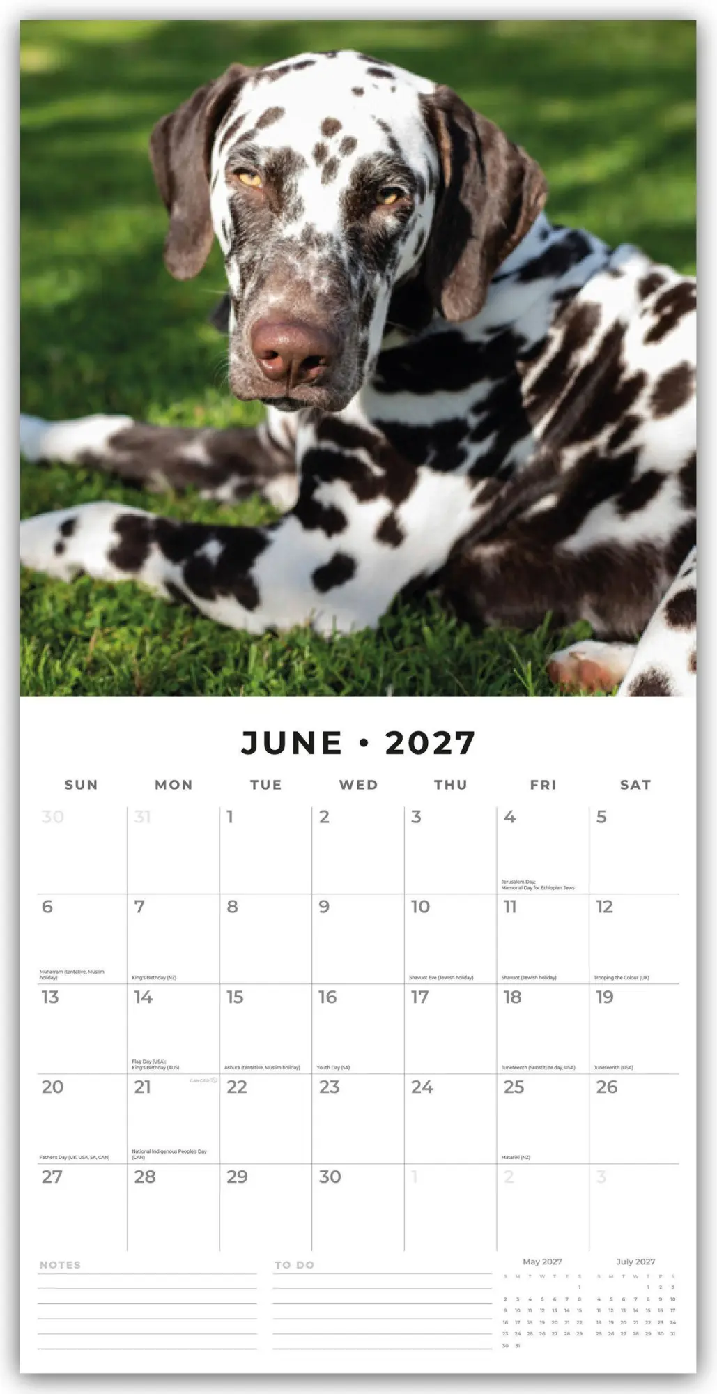 Bild: 9781837012183 | Dalmatians - Dalmatiner 2027 - 16-Monatskalender | Robin Red | 28 S.