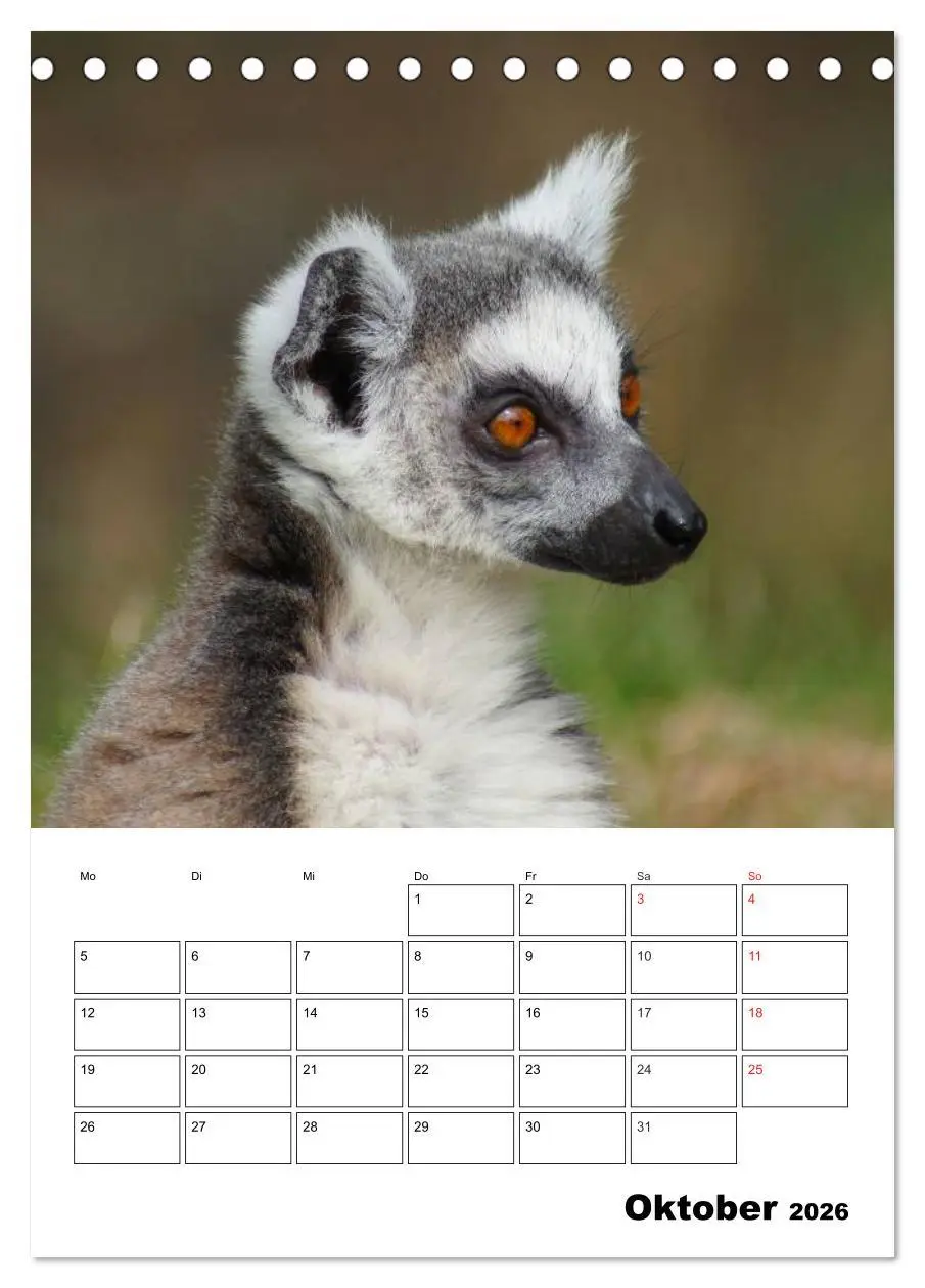 Bild: 9783516432183 | Katta Terminplaner (Tischkalender 2026 DIN A5 hoch), CALVENDO...