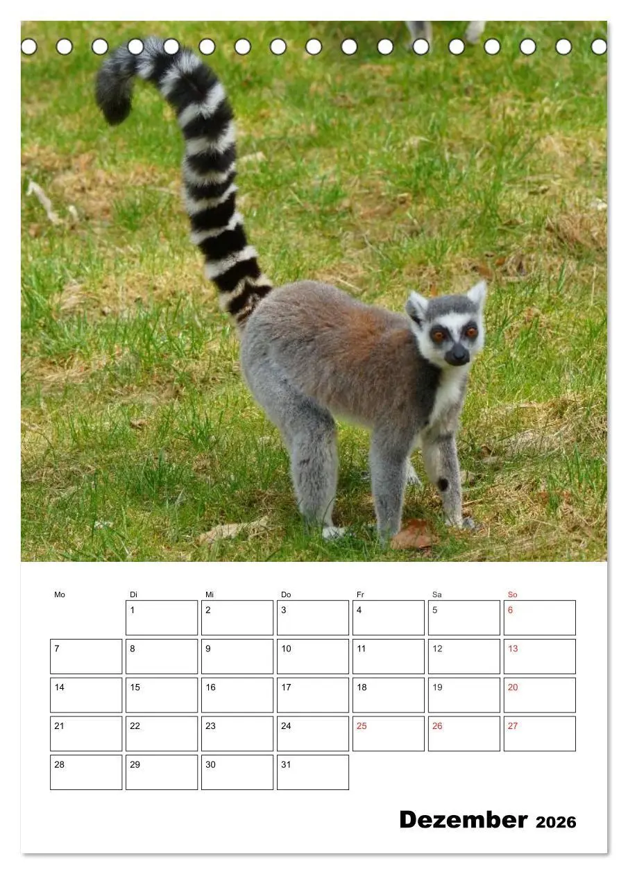 Bild: 9783516432183 | Katta Terminplaner (Tischkalender 2026 DIN A5 hoch), CALVENDO...
