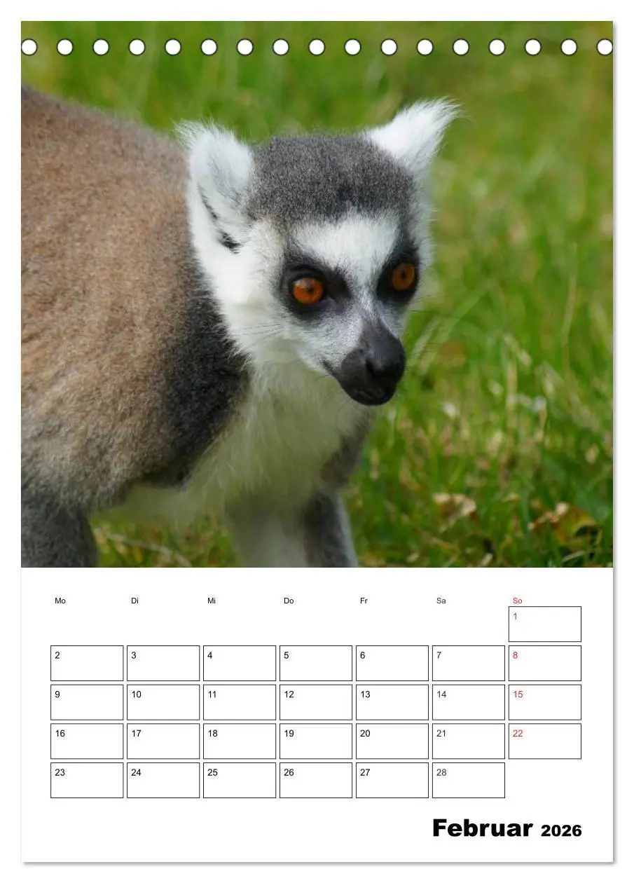 Bild: 9783516432183 | Katta Terminplaner (Tischkalender 2026 DIN A5 hoch), CALVENDO...