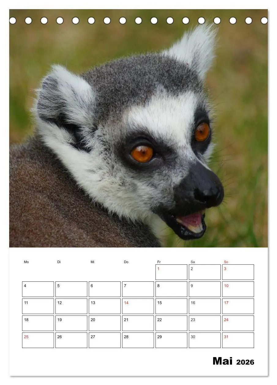 Bild: 9783516432183 | Katta Terminplaner (Tischkalender 2026 DIN A5 hoch), CALVENDO...