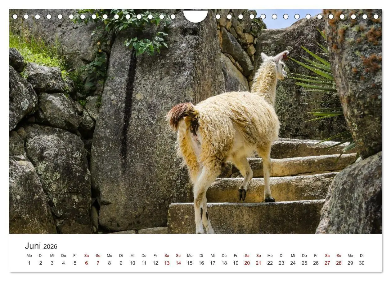 Bild: 9783516672183 | Macchu Picchu (Wandkalender 2026 DIN A4 quer), CALVENDO Monatskalender