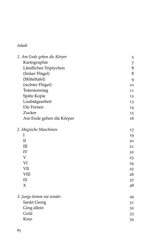 Bild: 9783895612183 | Magische Maschinen | Lars Reyer | Buch | Mit Lesebändchen | 88 S.