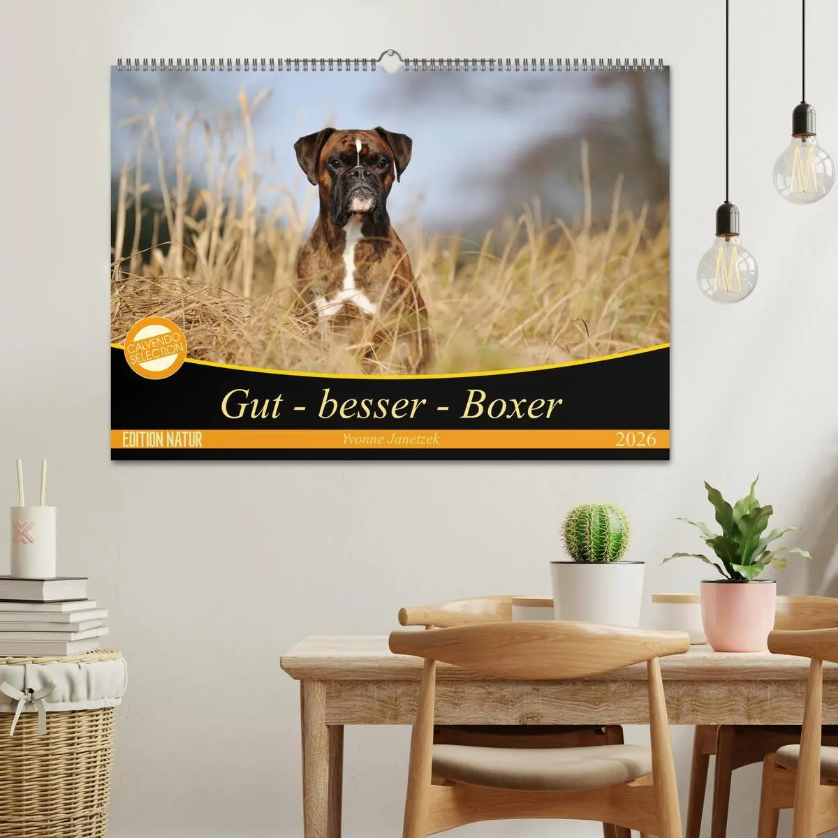 Bild: 9783457882283 | Gut - besser - Boxer (Wandkalender 2026 DIN A2 quer), CALVENDO...