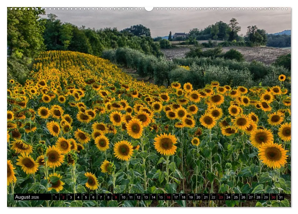 Bild: 9783516042283 | Abends in der Toskana (hochwertiger Premium Wandkalender 2026 DIN...