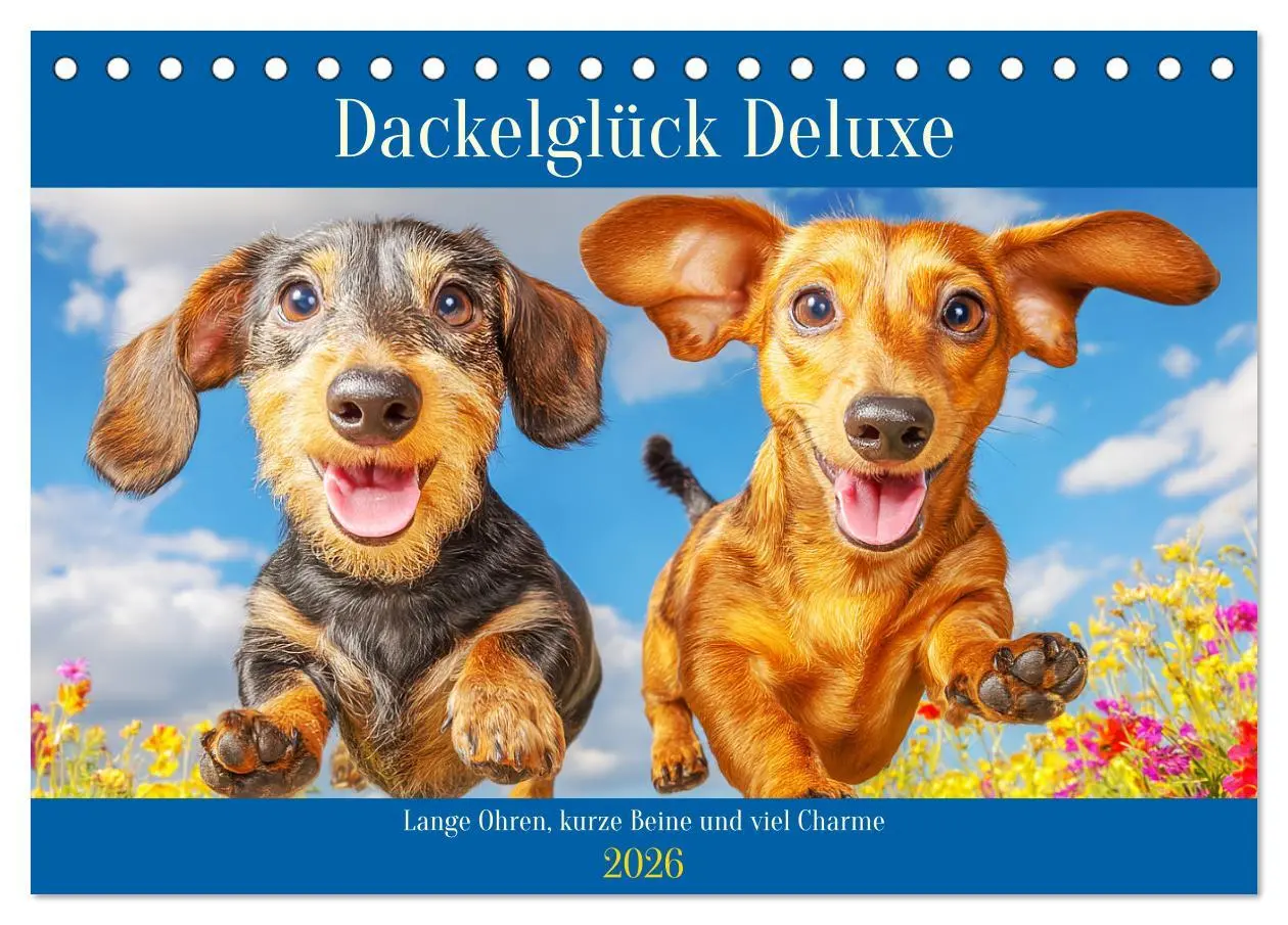 Cover: 9783516422283 | Dackelglück Deluxe. Lange Ohren, kurze Beine und viel Charme...