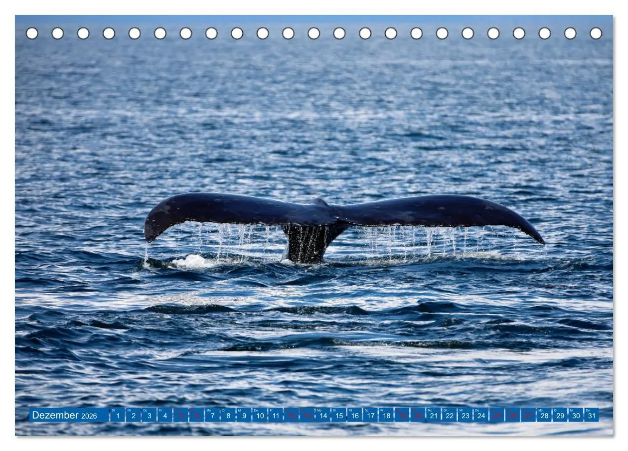 Bild: 9783457322383 | Von Vancouver nach Alaska (Tischkalender 2026 DIN A5 quer),...