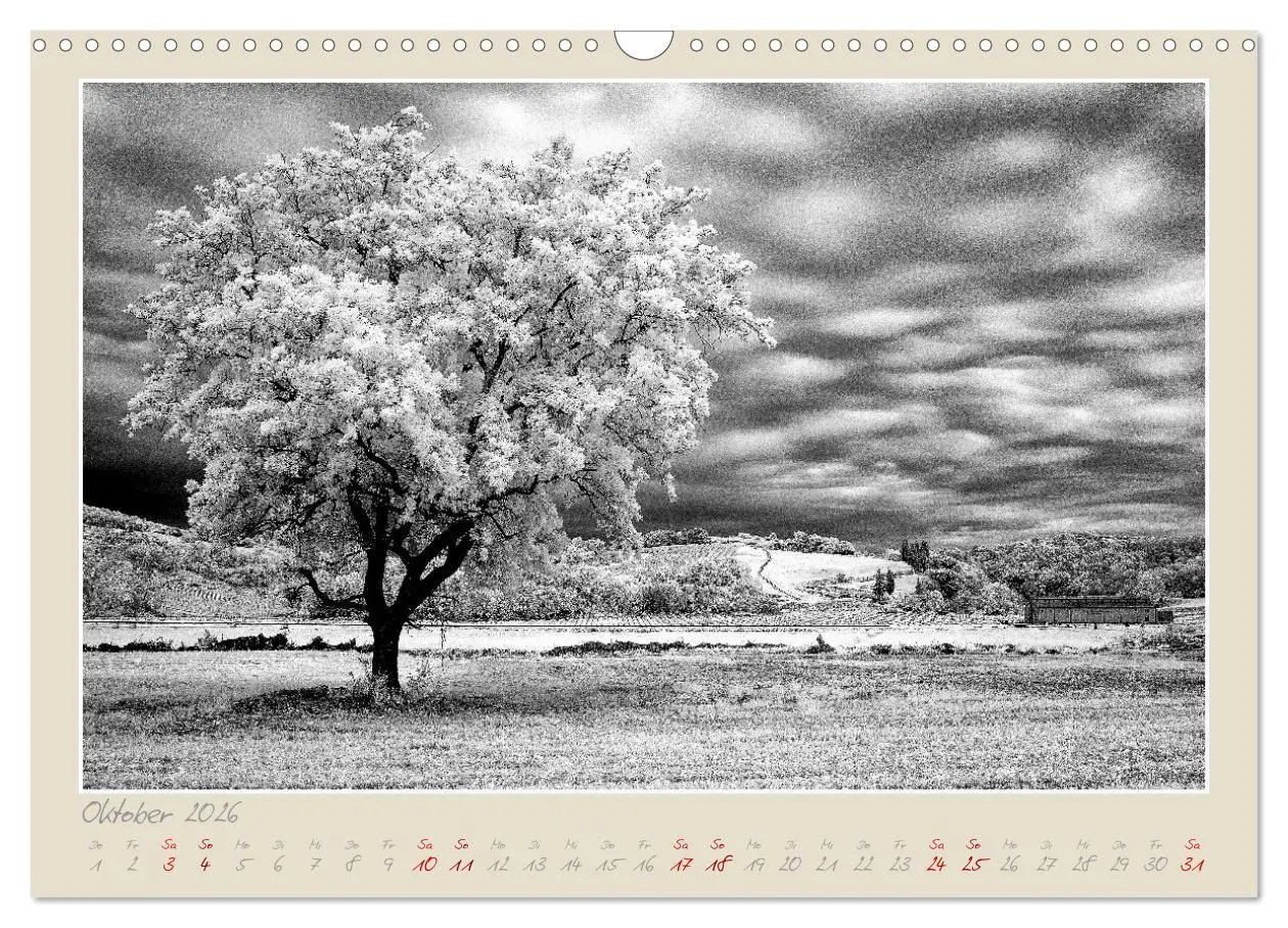 Bild: 9783457632383 | Toskana - Pisa und seine Umgebung (Wandkalender 2026 DIN A3 quer),...