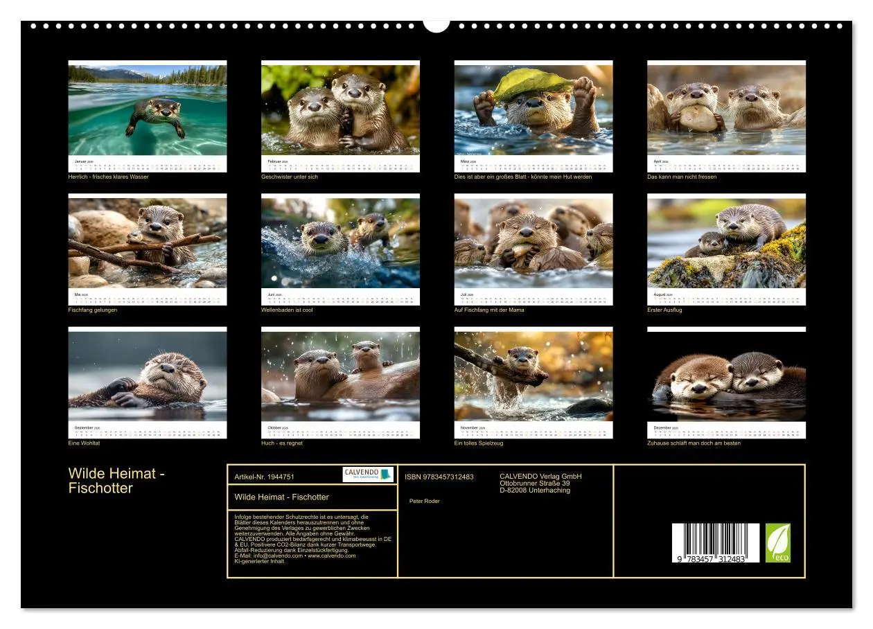 Bild: 9783457312483 | Wilde Heimat - Fischotter (hochwertiger Premium Wandkalender 2026...