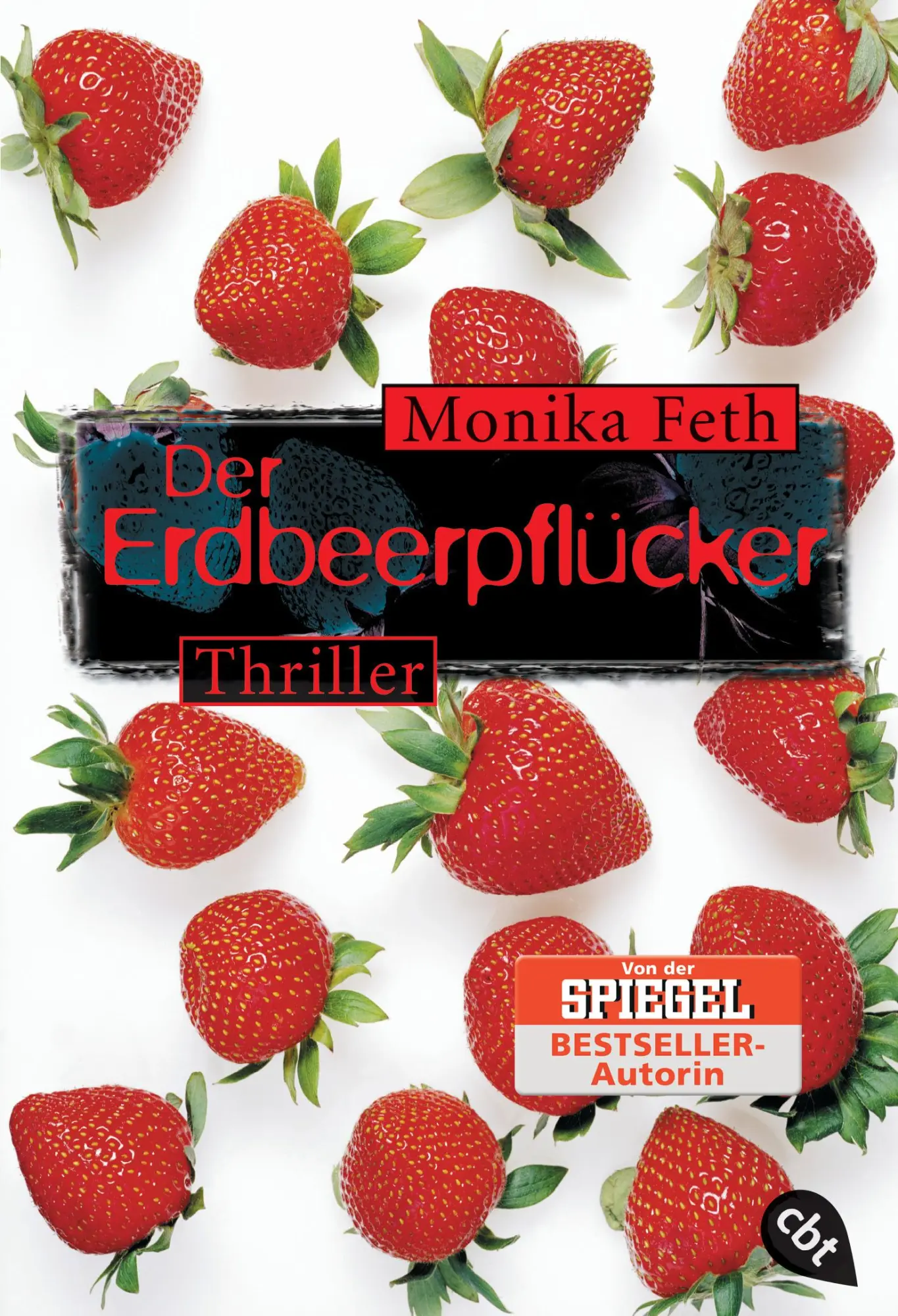 Cover: 9783570302583 | Der Erdbeerpflücker | Monika Feth | Taschenbuch | cbt Taschenbücher