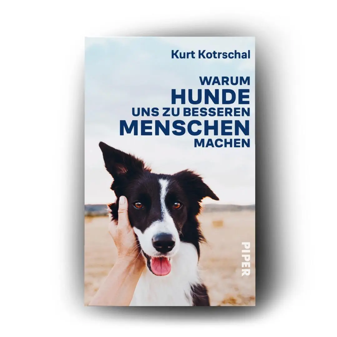 Bild: 9783492322683 | Warum Hunde uns zu besseren Menschen machen | Kurt Kotrschal | Buch