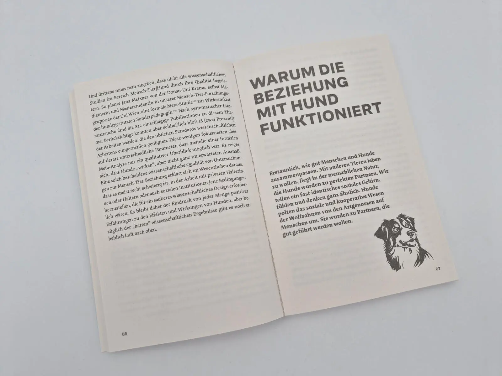Bild: 9783492322683 | Warum Hunde uns zu besseren Menschen machen | Kurt Kotrschal | Buch
