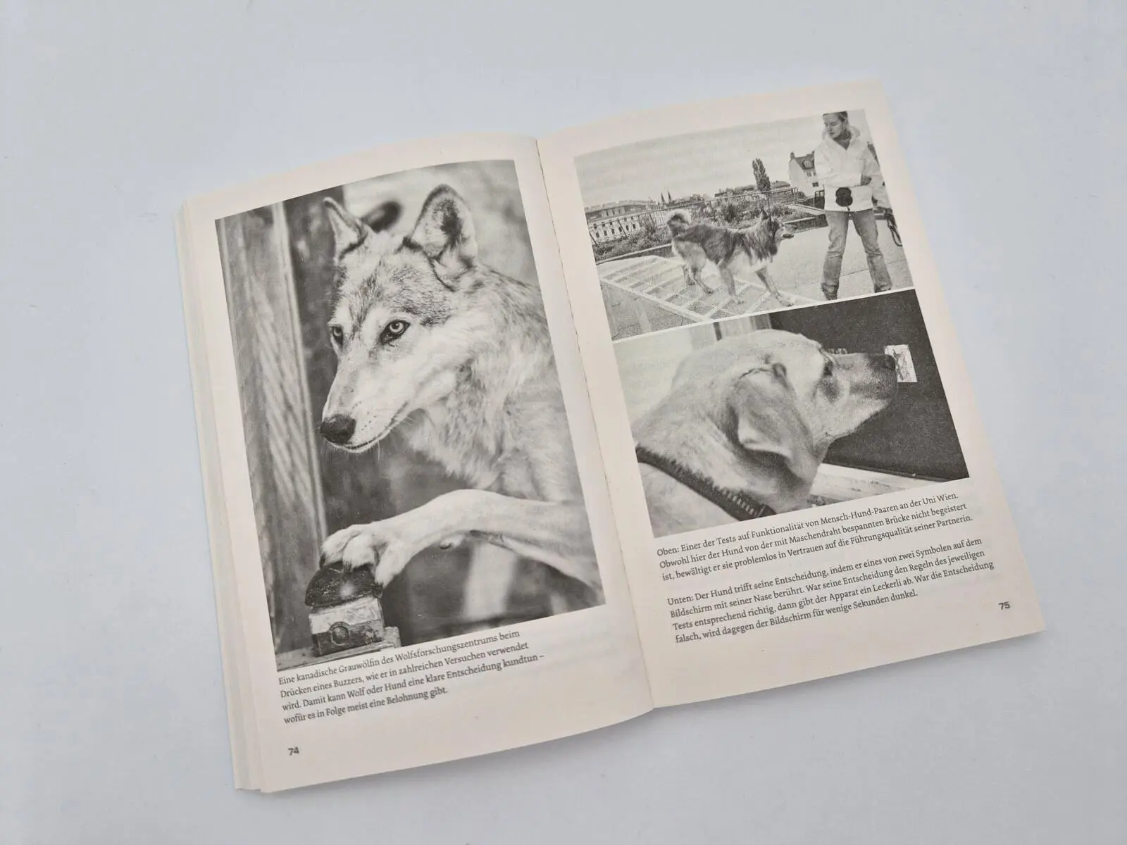 Bild: 9783492322683 | Warum Hunde uns zu besseren Menschen machen | Kurt Kotrschal | Buch