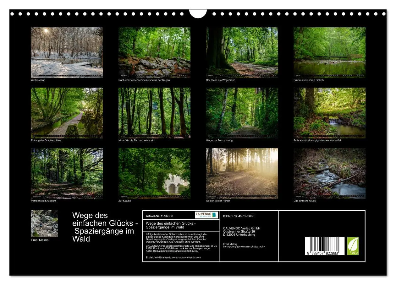 Bild: 9783457822883 | Wege des einfachen Glücks - Spaziergänge im Wald (Wandkalender 2026...