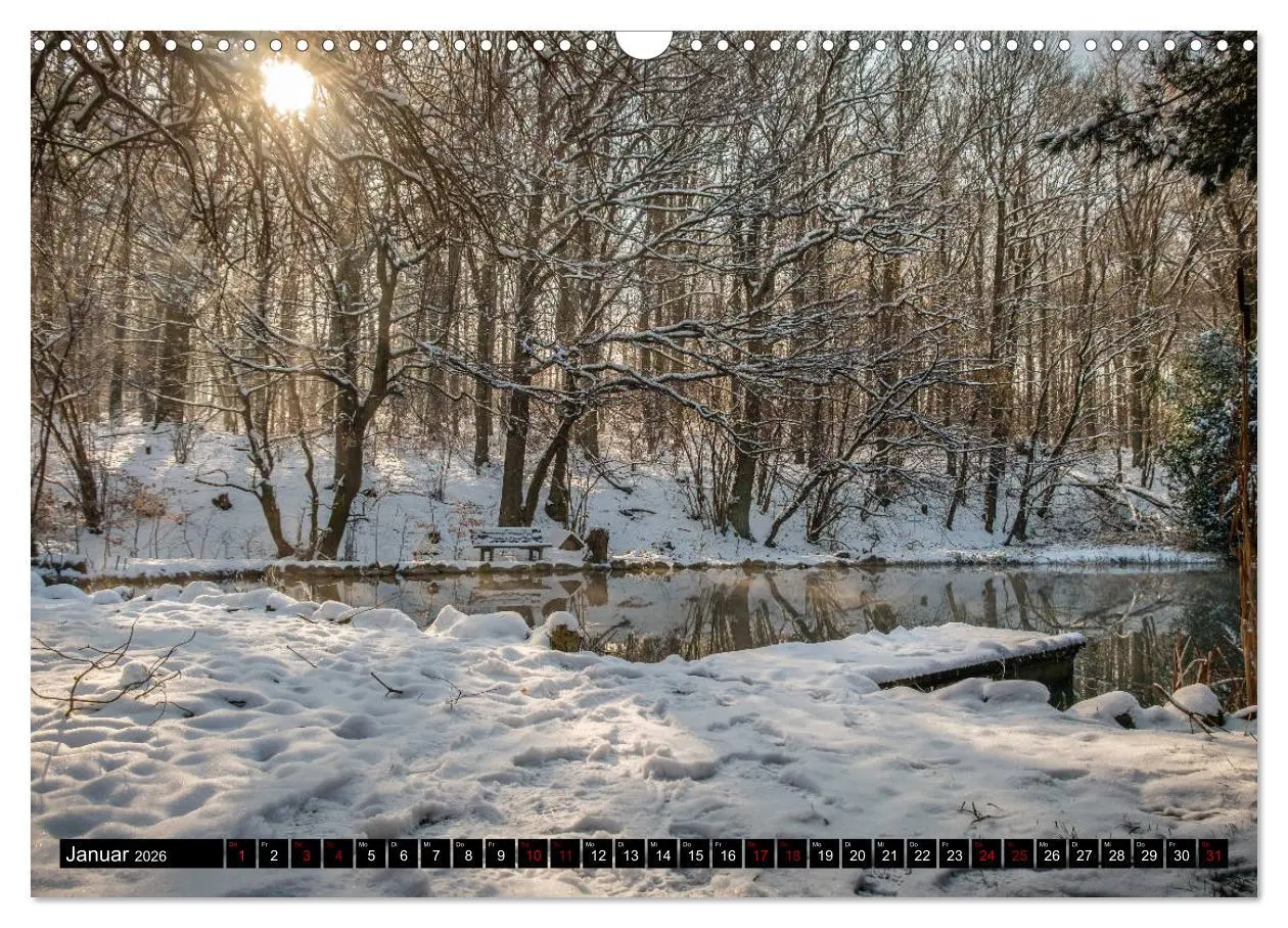 Bild: 9783457822883 | Wege des einfachen Glücks - Spaziergänge im Wald (Wandkalender 2026...