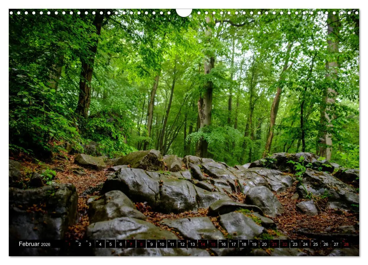 Bild: 9783457822883 | Wege des einfachen Glücks - Spaziergänge im Wald (Wandkalender 2026...