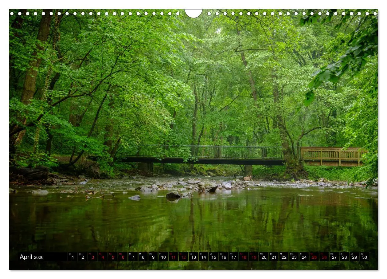 Bild: 9783457822883 | Wege des einfachen Glücks - Spaziergänge im Wald (Wandkalender 2026...