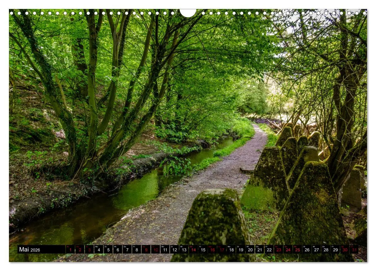 Bild: 9783457822883 | Wege des einfachen Glücks - Spaziergänge im Wald (Wandkalender 2026...