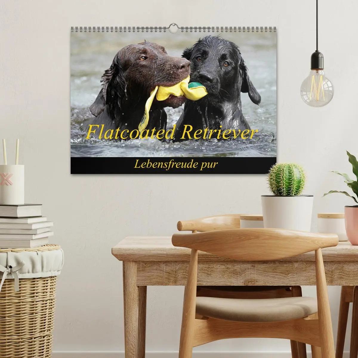 Bild: 9783516152883 | Flatcoated Retriever (Wandkalender 2026 DIN A3 quer), CALVENDO...