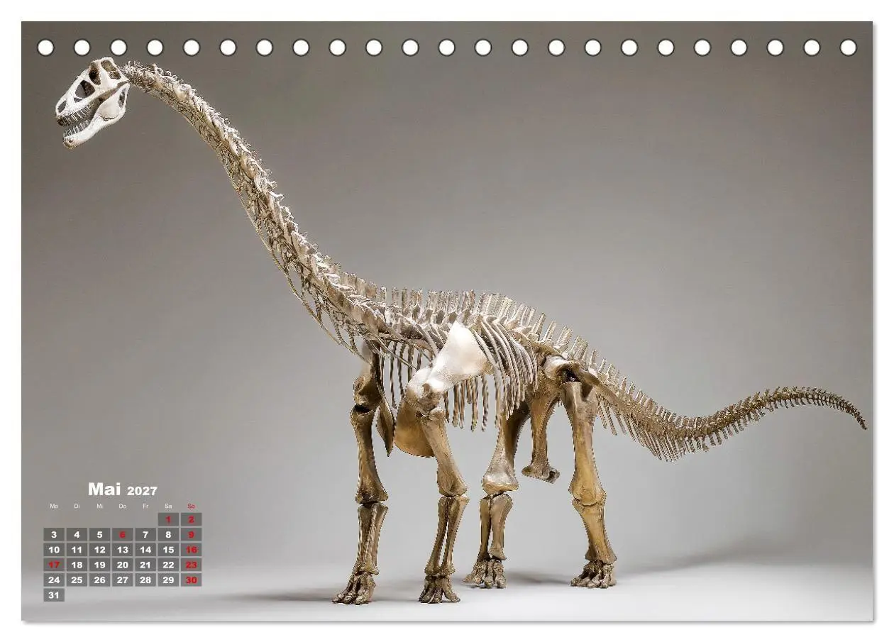 Bild: 9783516912883 | Knochen der Giganten - Dinosaurier im Porträt (Tischkalender 2027...