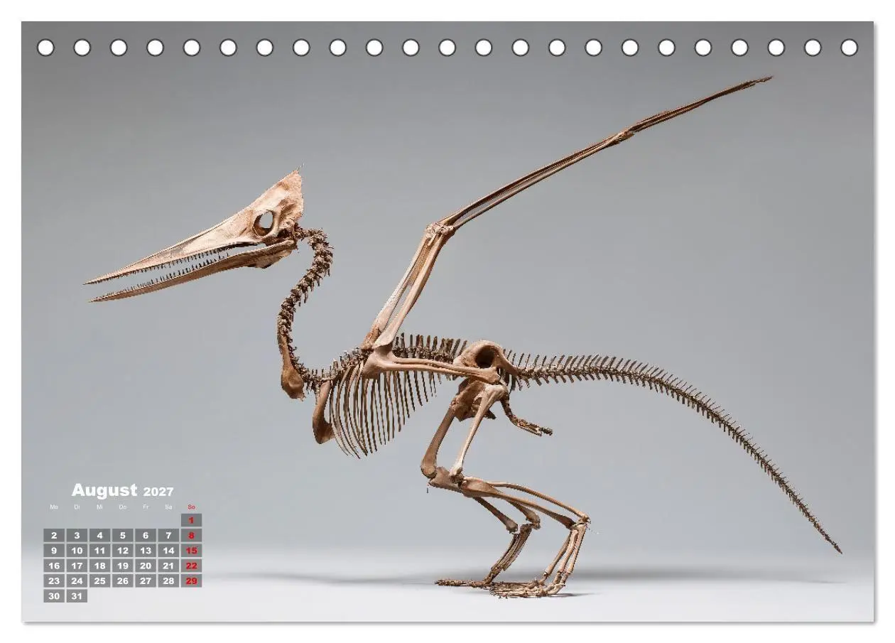 Bild: 9783516912883 | Knochen der Giganten - Dinosaurier im Porträt (Tischkalender 2027...