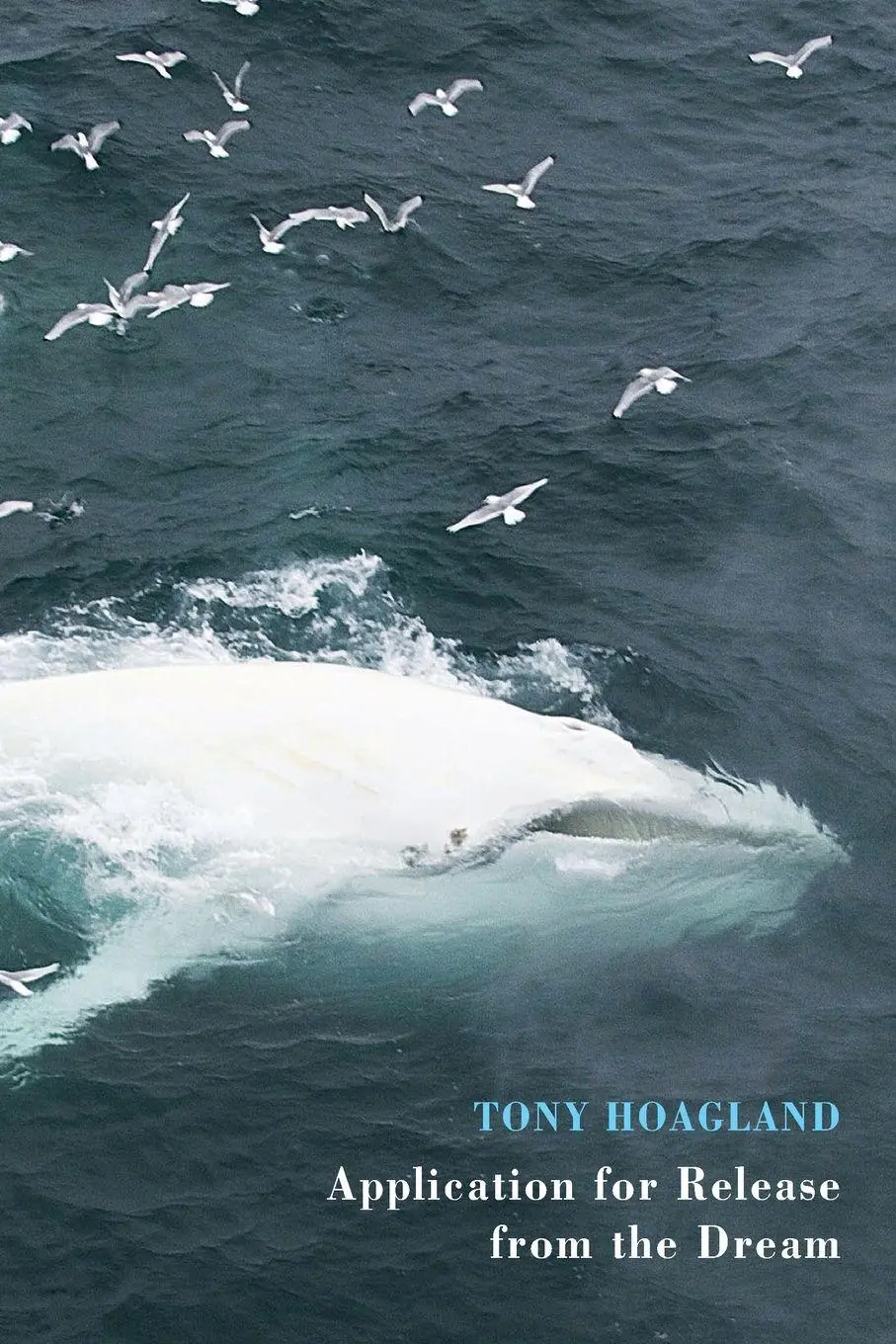 Cover: 9781780372983 | Application for Release from the Dream | Tony Hoagland | Taschenbuch