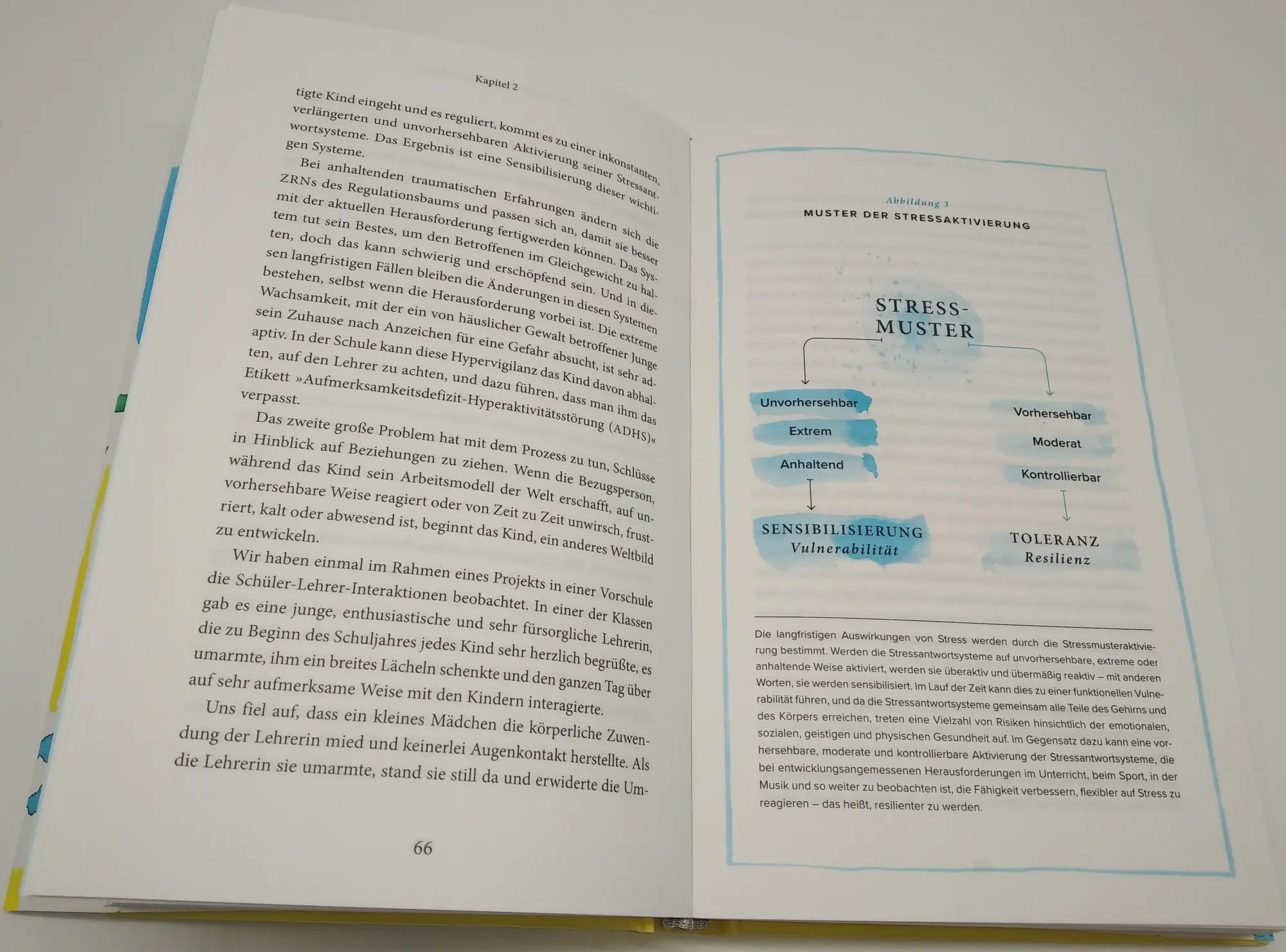 Bild: 9783442342983 | Was ist dein Schmerz? | Oprah Winfrey (u. a.) | Buch | 368 S. | 2022