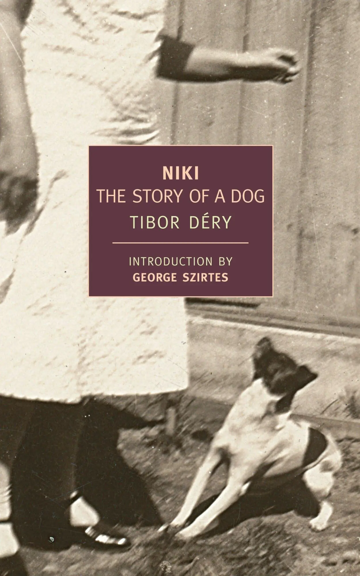 Cover: 9781590173183 | Niki | The Story of a Dog | Tibor Dery | Taschenbuch | Englisch | 2009