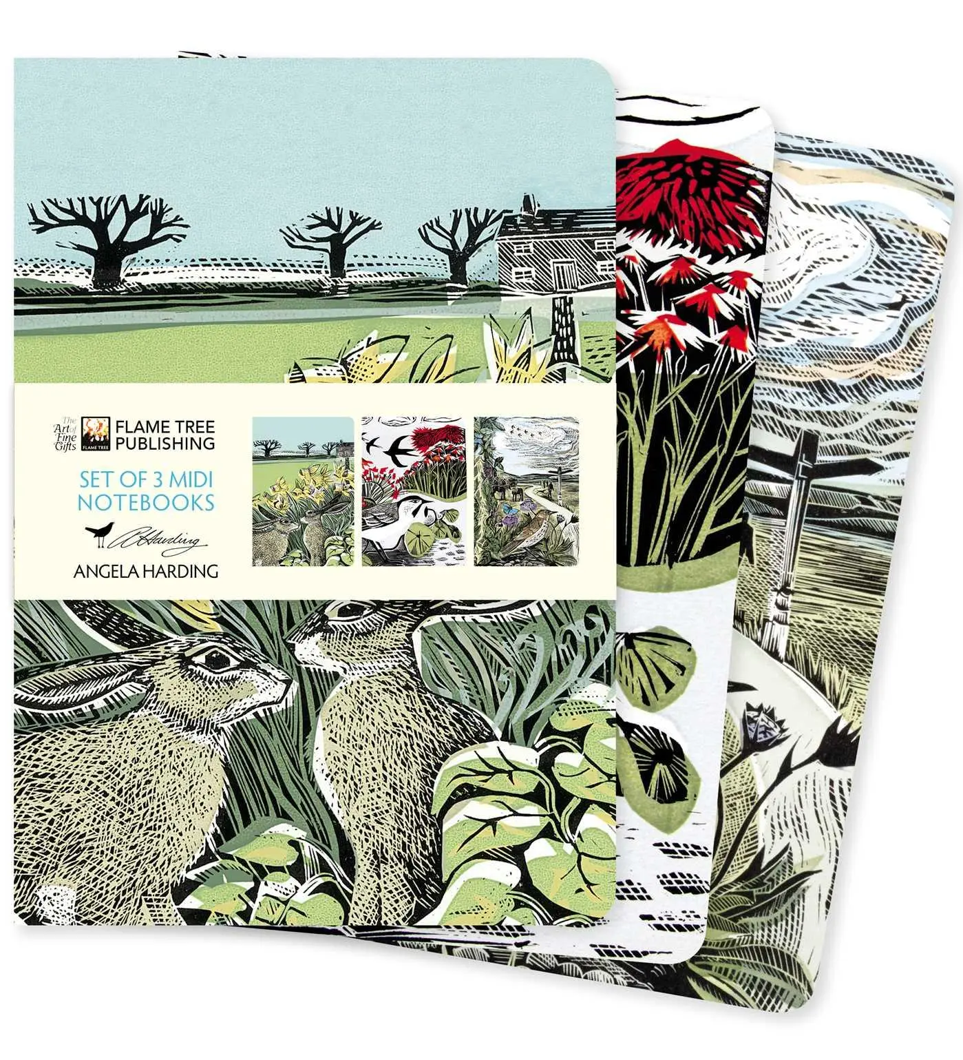 Cover: 9781804173183 | Angela Harding: Landscapes Set of 3 MIDI Notebooks | Publishing | Buch