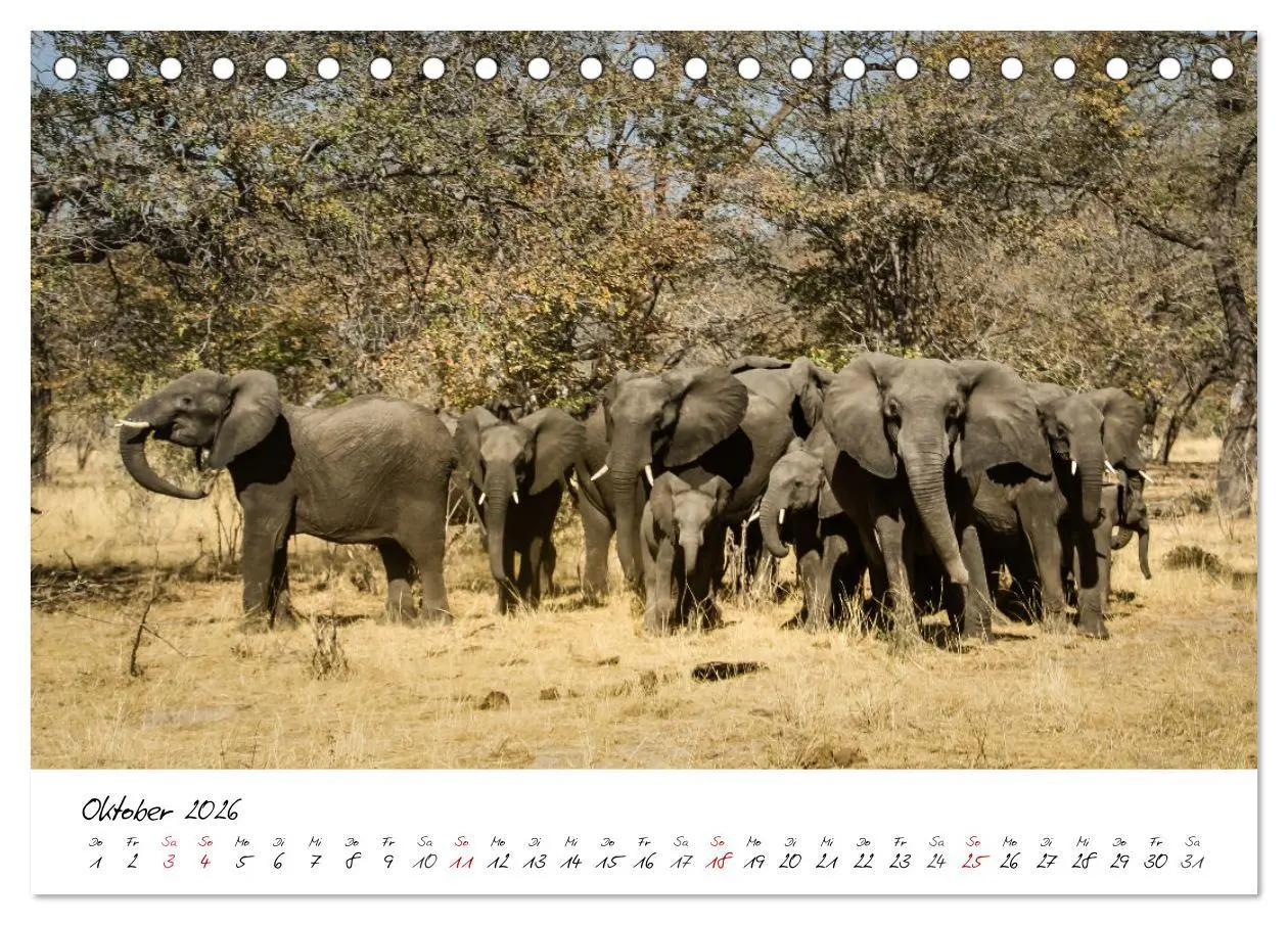 Bild: 9783457623183 | X Tage in Namibia - Ein Roadtrip im Süden von Afrika (Tischkalender...