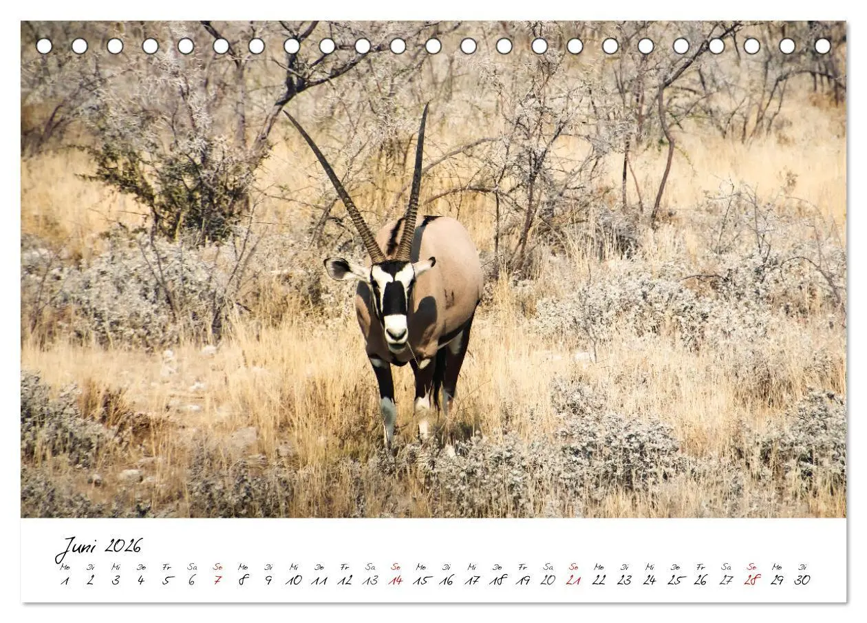 Bild: 9783457623183 | X Tage in Namibia - Ein Roadtrip im Süden von Afrika (Tischkalender...