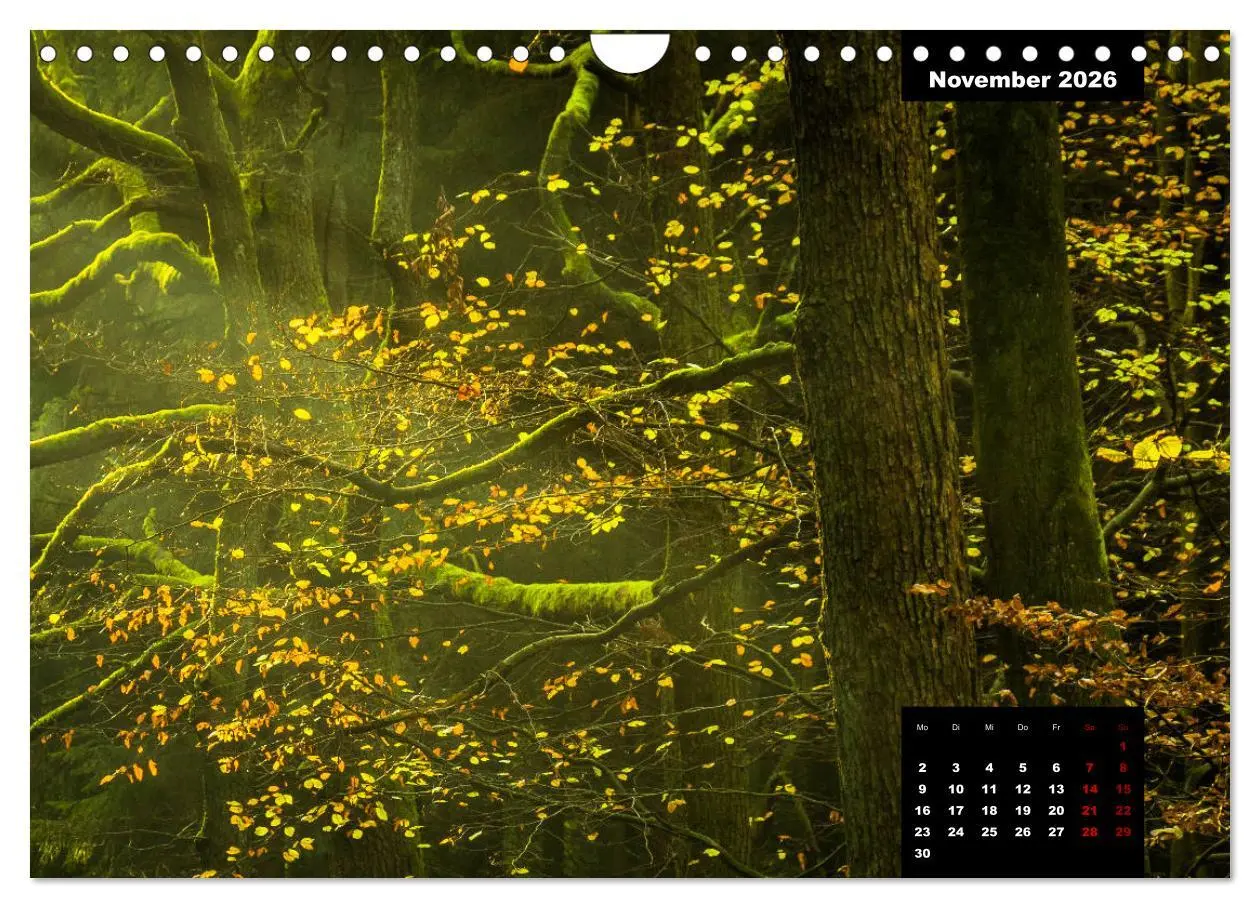 Bild: 9783457933183 | Malerisches Sauerland (Wandkalender 2026 DIN A4 quer), CALVENDO...
