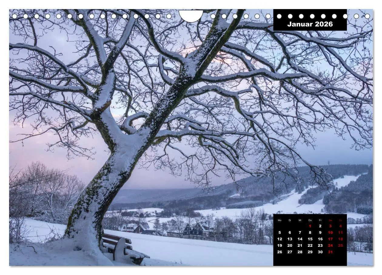 Bild: 9783457933183 | Malerisches Sauerland (Wandkalender 2026 DIN A4 quer), CALVENDO...