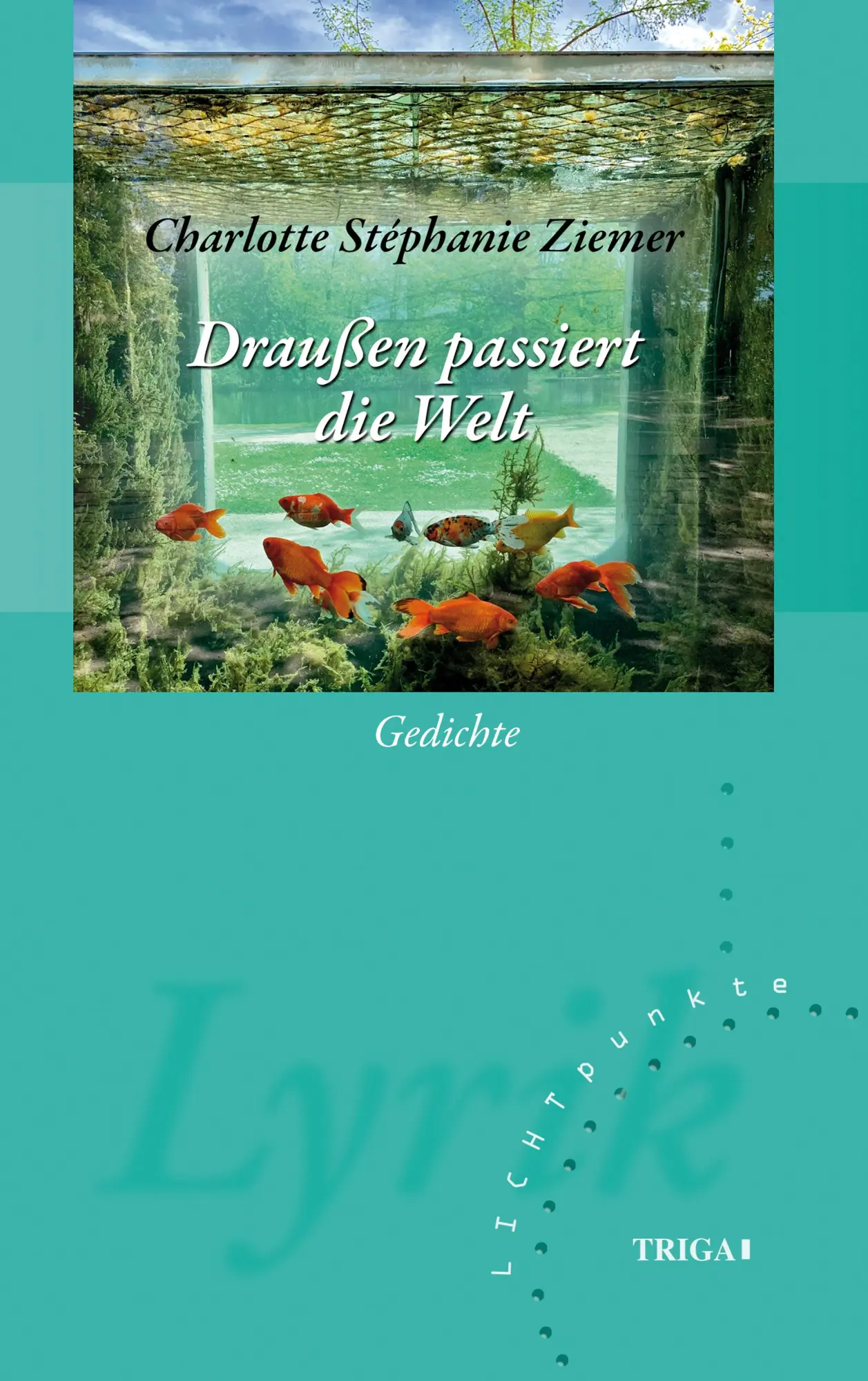 Cover: 9783958283183 | Draußen passiert die Welt | Gedichte. LICHTpunkte Band 148 | Ziemer