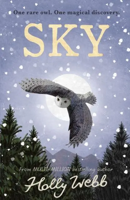 Cover: 9781788953283 | Sky | Holly Webb | Buch | Gebunden | Englisch | 2021