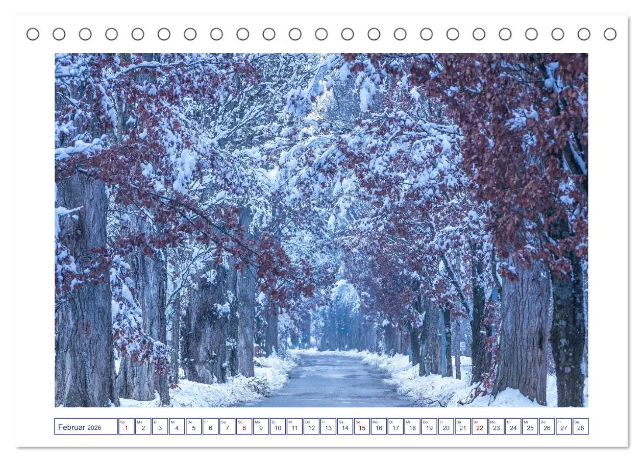 Bild: 9783457543283 | Radolfzell am schönen Bodensee (Tischkalender 2026 DIN A5 quer),...