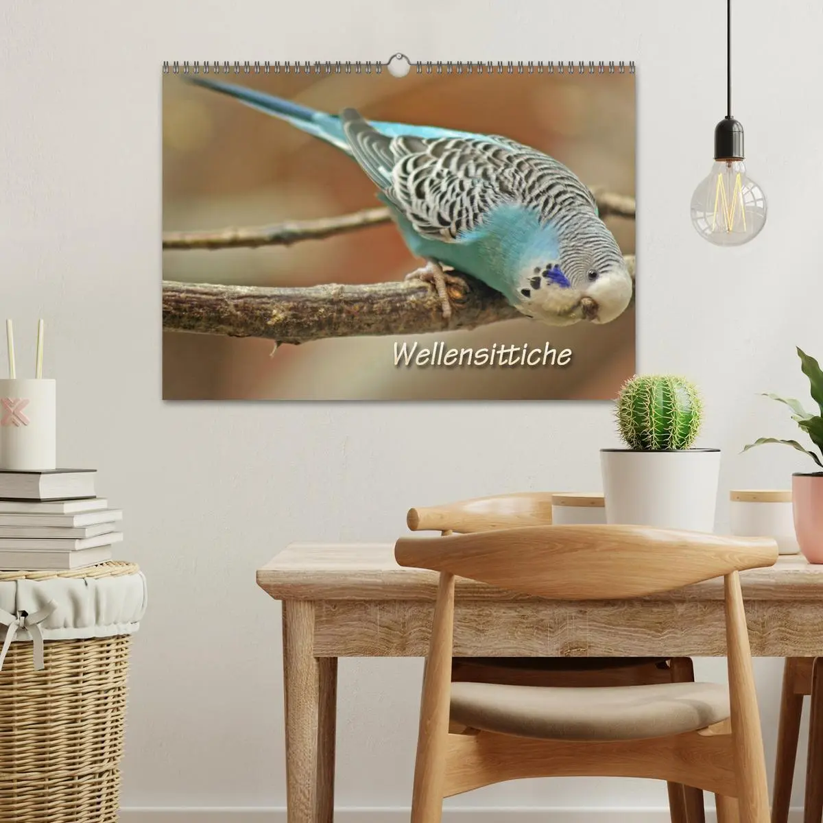 Bild: 9783516183283 | Wellensittiche (Wandkalender 2026 DIN A3 quer), CALVENDO...