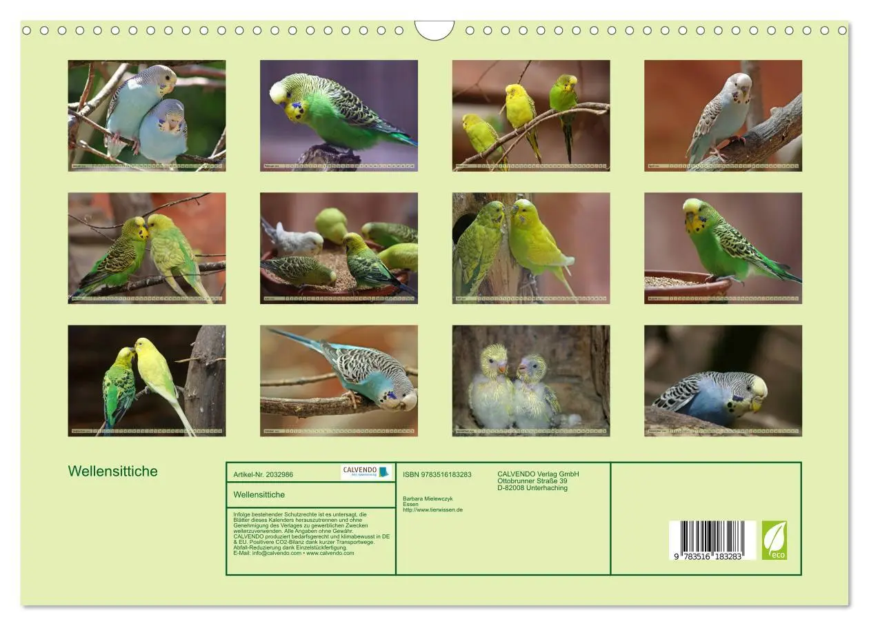 Bild: 9783516183283 | Wellensittiche (Wandkalender 2026 DIN A3 quer), CALVENDO...
