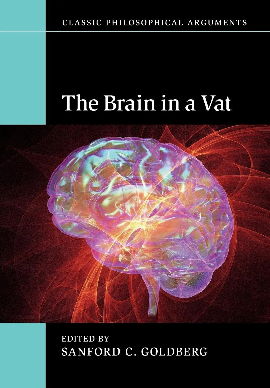 Cover: 9781107643383 | The Brain in a Vat | Sanford C. Goldberg | Taschenbuch | Englisch