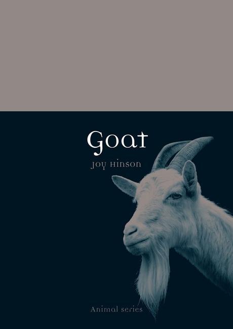 Cover: 9781780233383 | Goat | Joy Hinson | Taschenbuch | Kartoniert / Broschiert | Englisch
