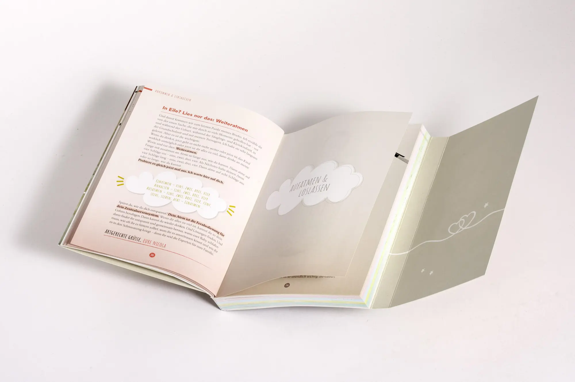 Bild: 9783466373383 | Geboren &amp; Geborgen | Yassamin-Sophia Boussaoud (u. a.) | Taschenbuch