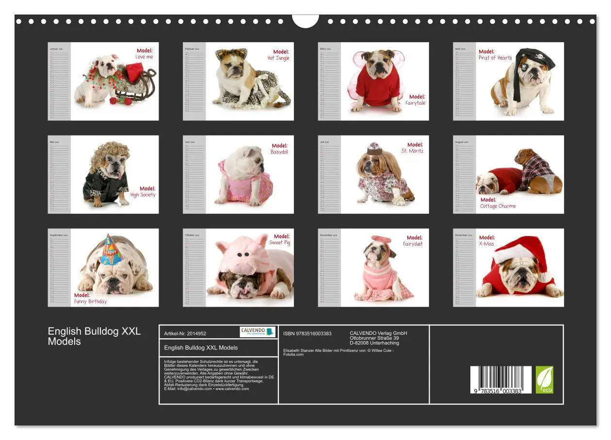 Bild: 9783516003383 | English Bulldog XXL Models (Wandkalender 2026 DIN A3 quer),...
