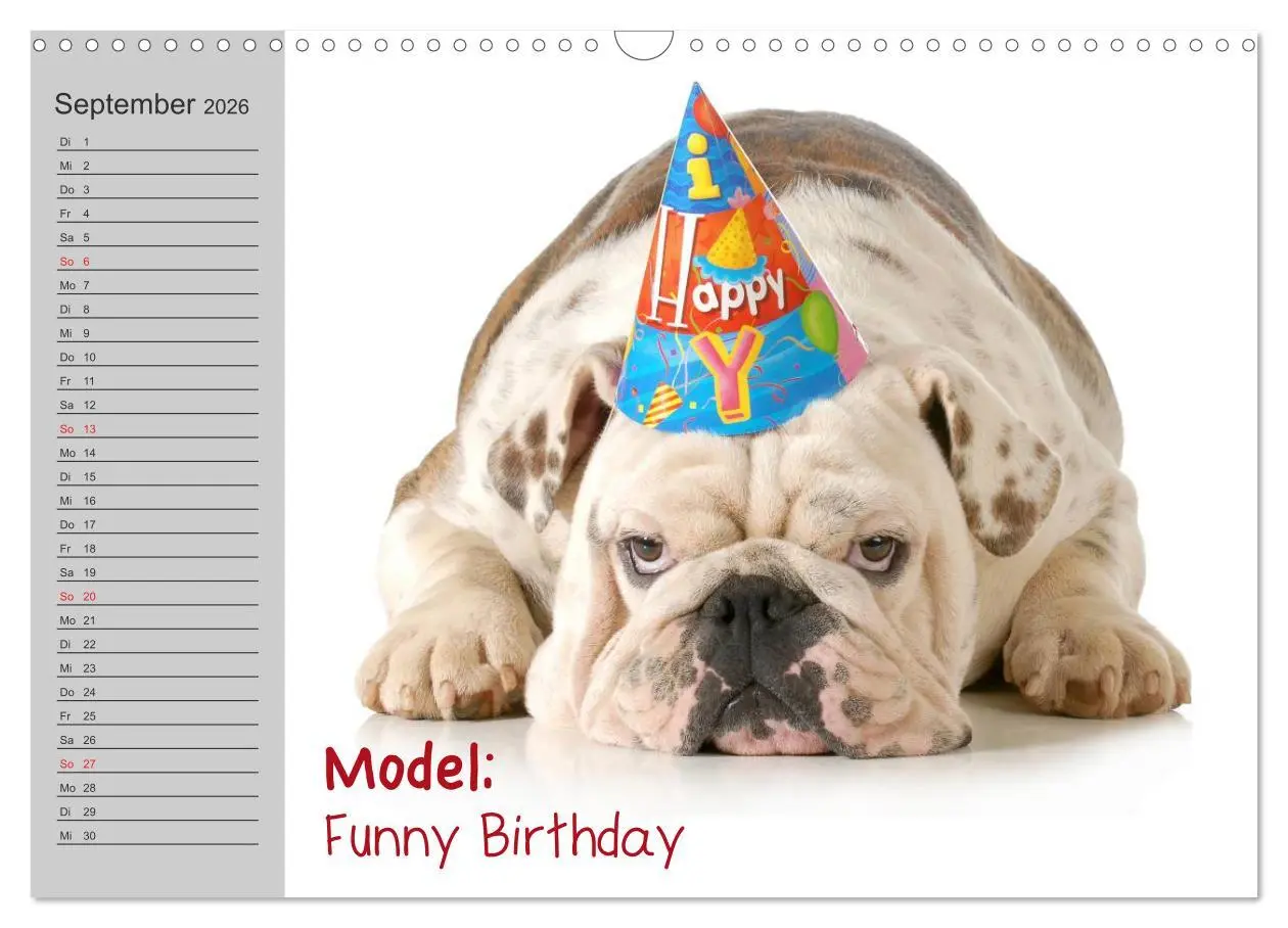 Bild: 9783516003383 | English Bulldog XXL Models (Wandkalender 2026 DIN A3 quer),...