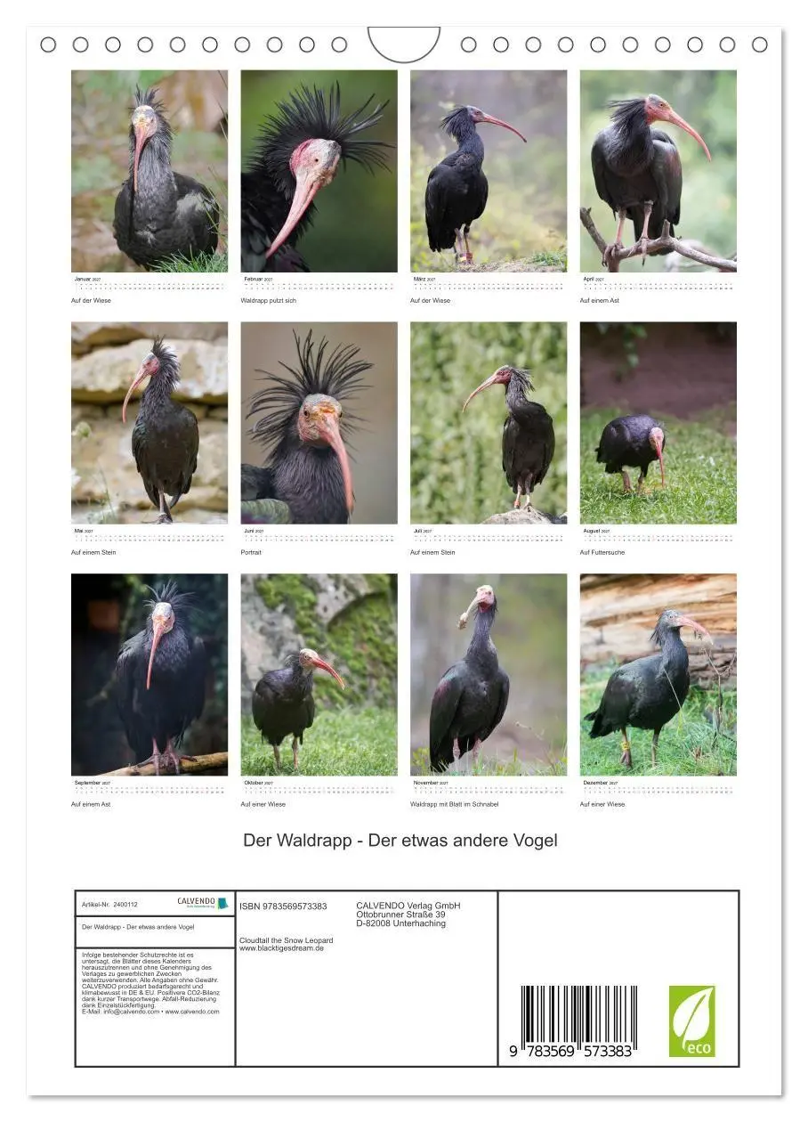 Bild: 9783569573383 | Der Waldrapp - Der etwas andere Vogel (Wandkalender 2027 DIN A4...