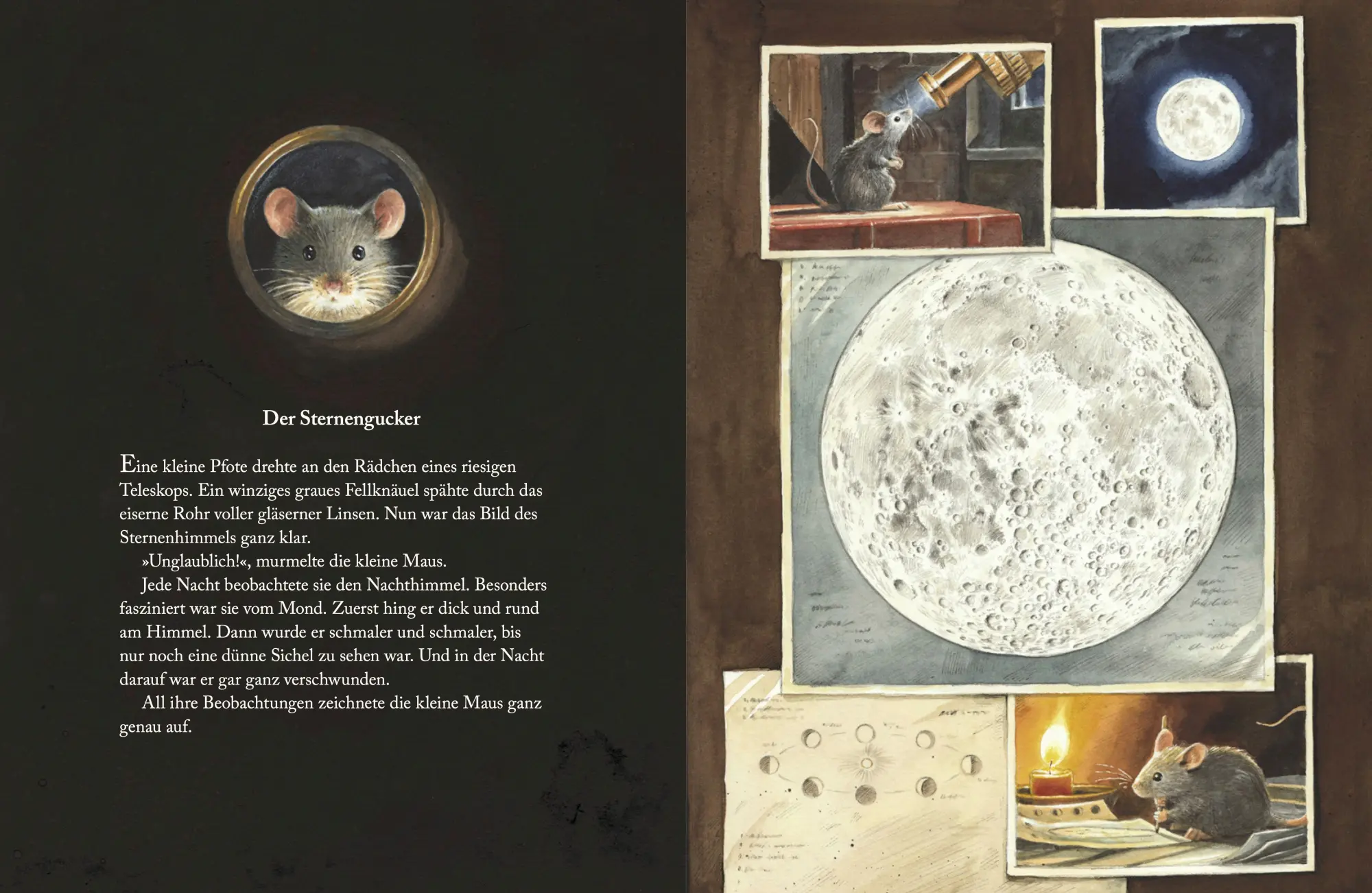 Bild: 9783314103483 | Armstrong | Die abenteuerliche Reise einer Maus zum Mond | Kuhlmann