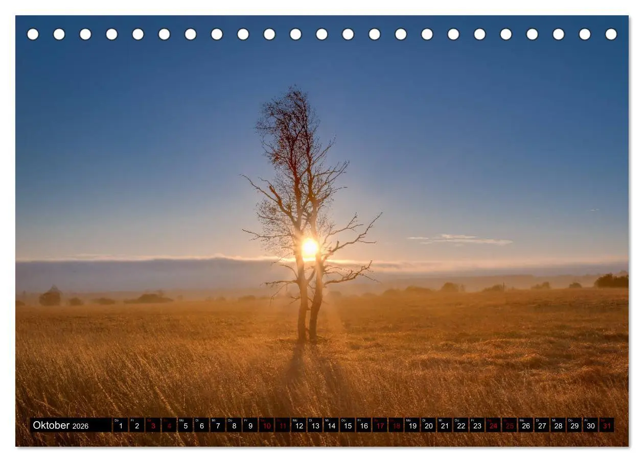 Bild: 9783457763483 | Das Hohe Venn (Tischkalender 2026 DIN A5 quer), CALVENDO...