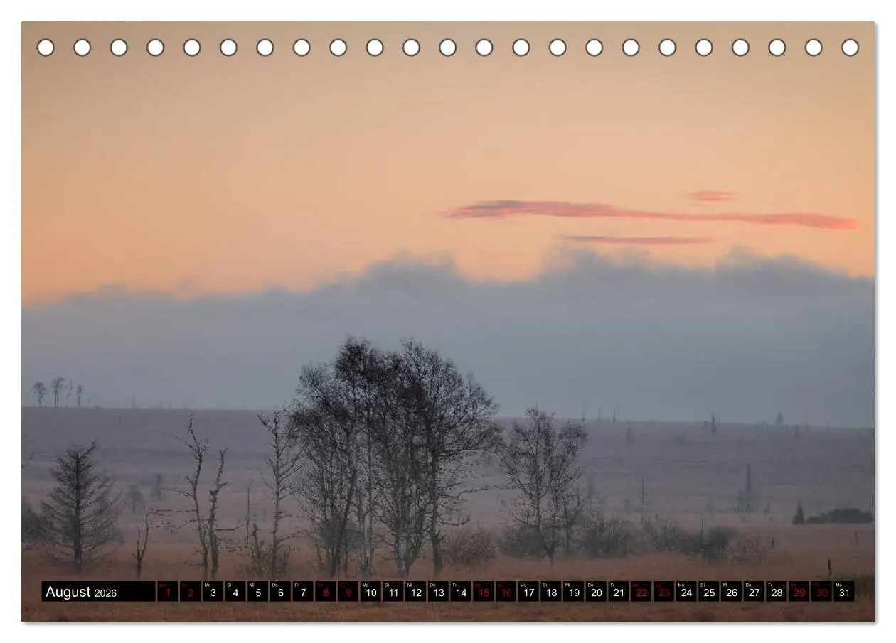 Bild: 9783457763483 | Das Hohe Venn (Tischkalender 2026 DIN A5 quer), CALVENDO...