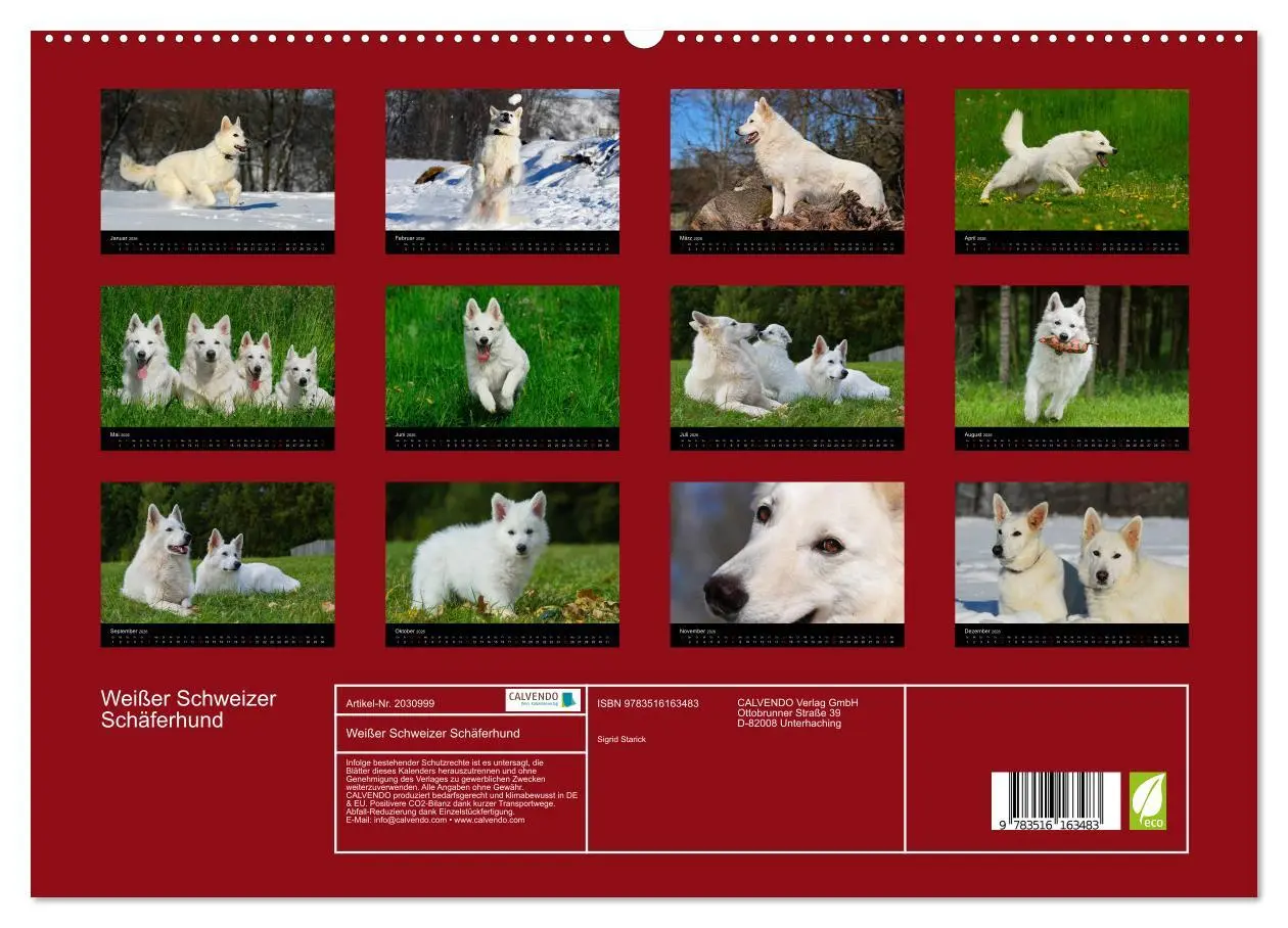 Bild: 9783516163483 | Weißer Schweizer Schäferhund (hochwertiger Premium Wandkalender...