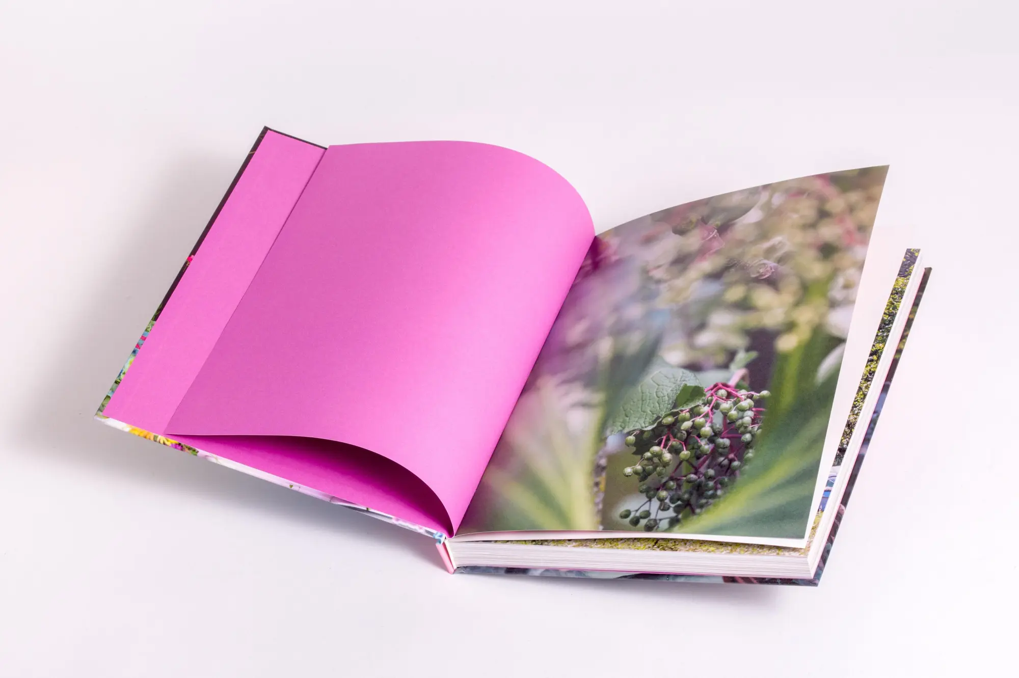 Bild: 9783791393483 | Blumen, Glanz und Tafelfreuden | Björn Kroner (u. a.) | Buch | 208 S.