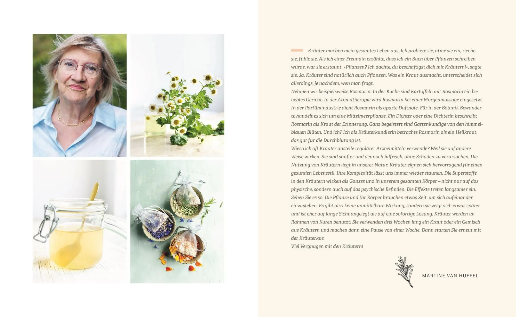 Bild: 9783831053483 | Das kleine Handbuch der Kräuterapotheke | Martine van Huffel | Buch